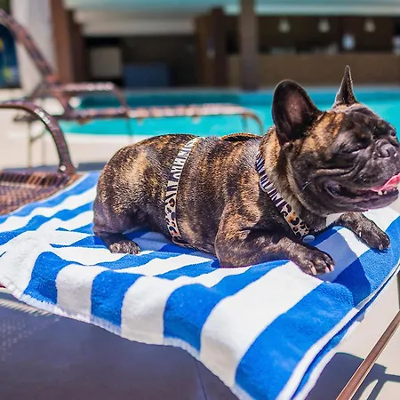 Nauticomar Resort All Inclusive & Beach Club-3